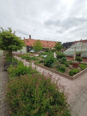 Pohled na část zahrady s vyvýšenými záhony